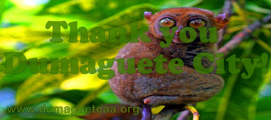 Historical DumagueteAA.org gratitude graphic thanking Dumaguete City for community support and visibility.